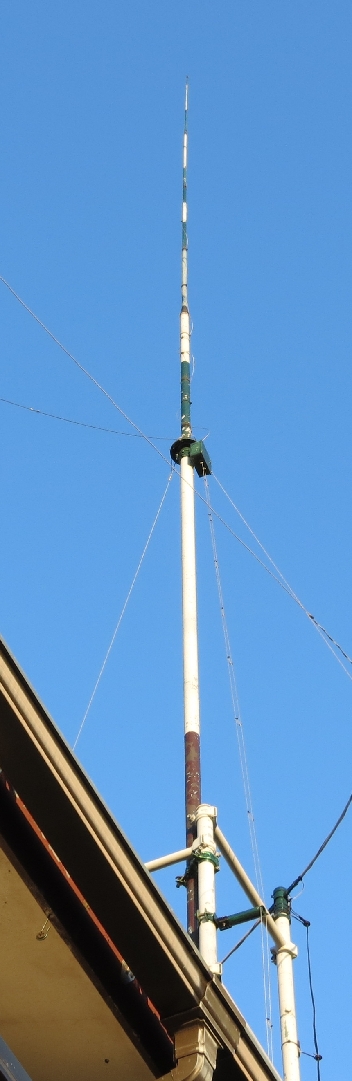 14 MHz GP w ladder photo